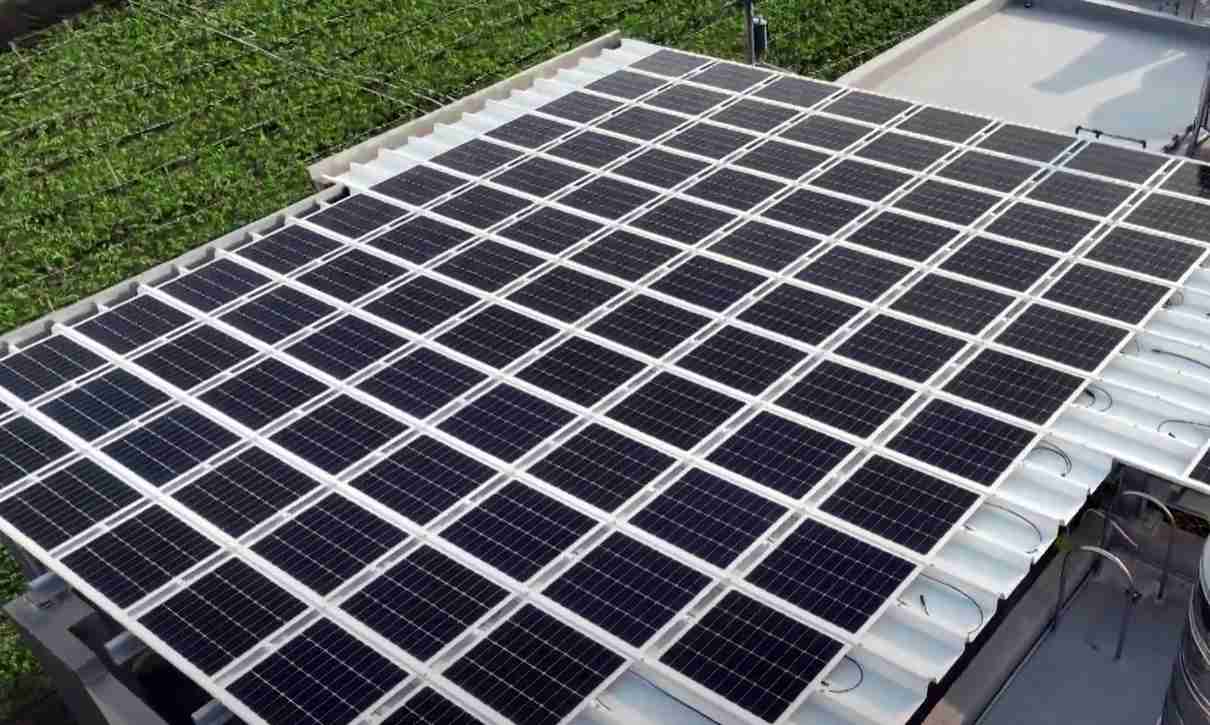 888.BY集团电子游戏SunSteel光电浪板升级双玻结构，，以提升机械负载强度及气候耐候度，，，，可广泛运用于多元场域